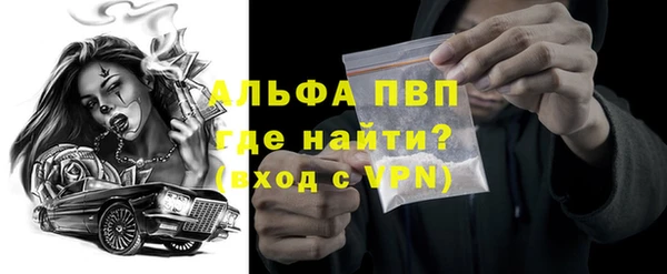 стафф Алексин