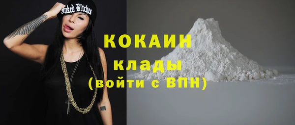 стафф Алексин