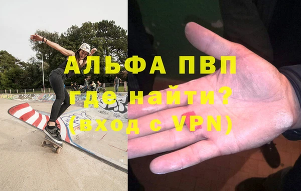 индика Киреевск