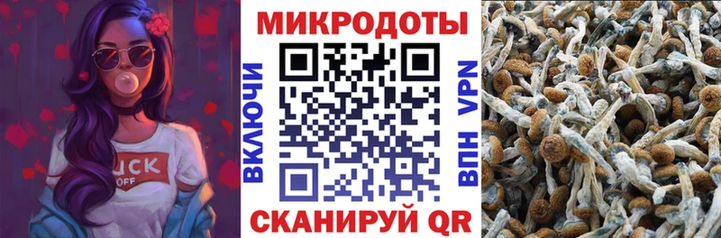 Галлюциногенные грибы Magic Shrooms  Аша 