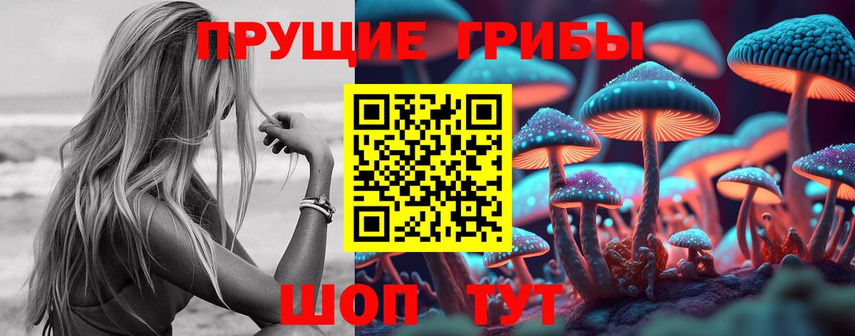 Псилоцибиновые грибы MAGIC MUSHROOMS  закладки  Аша  Вход с VPN 