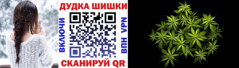 где купить   Аша  Конопля Amnesia 
