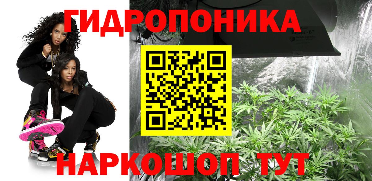 Конопля SATIVA & INDICA Аша